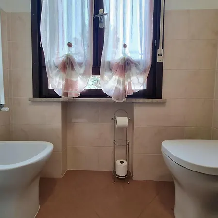 Apartment Comfort House *