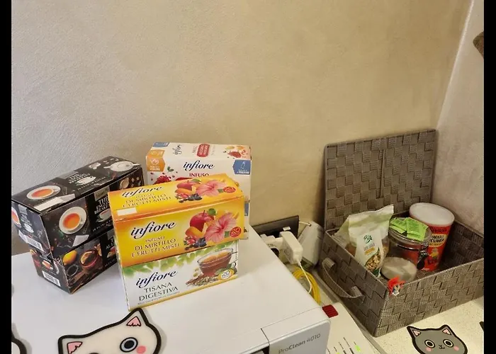 Comfort House Parma